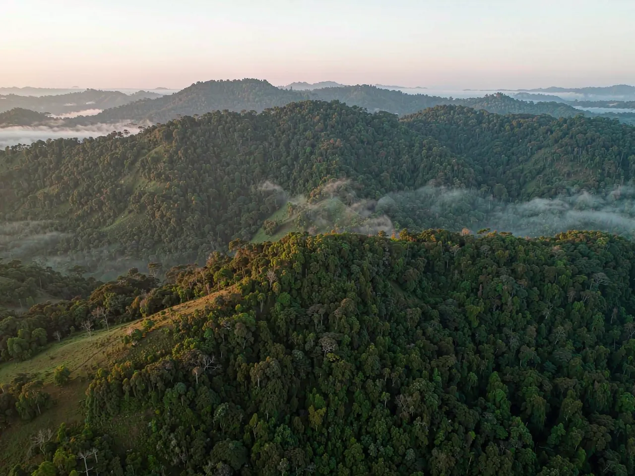 Morning mist over a forest valley